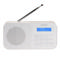 Denver DAB-42W WHITE