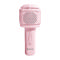 Denver KMS-30RO ROSE
