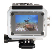 DETAIL29296